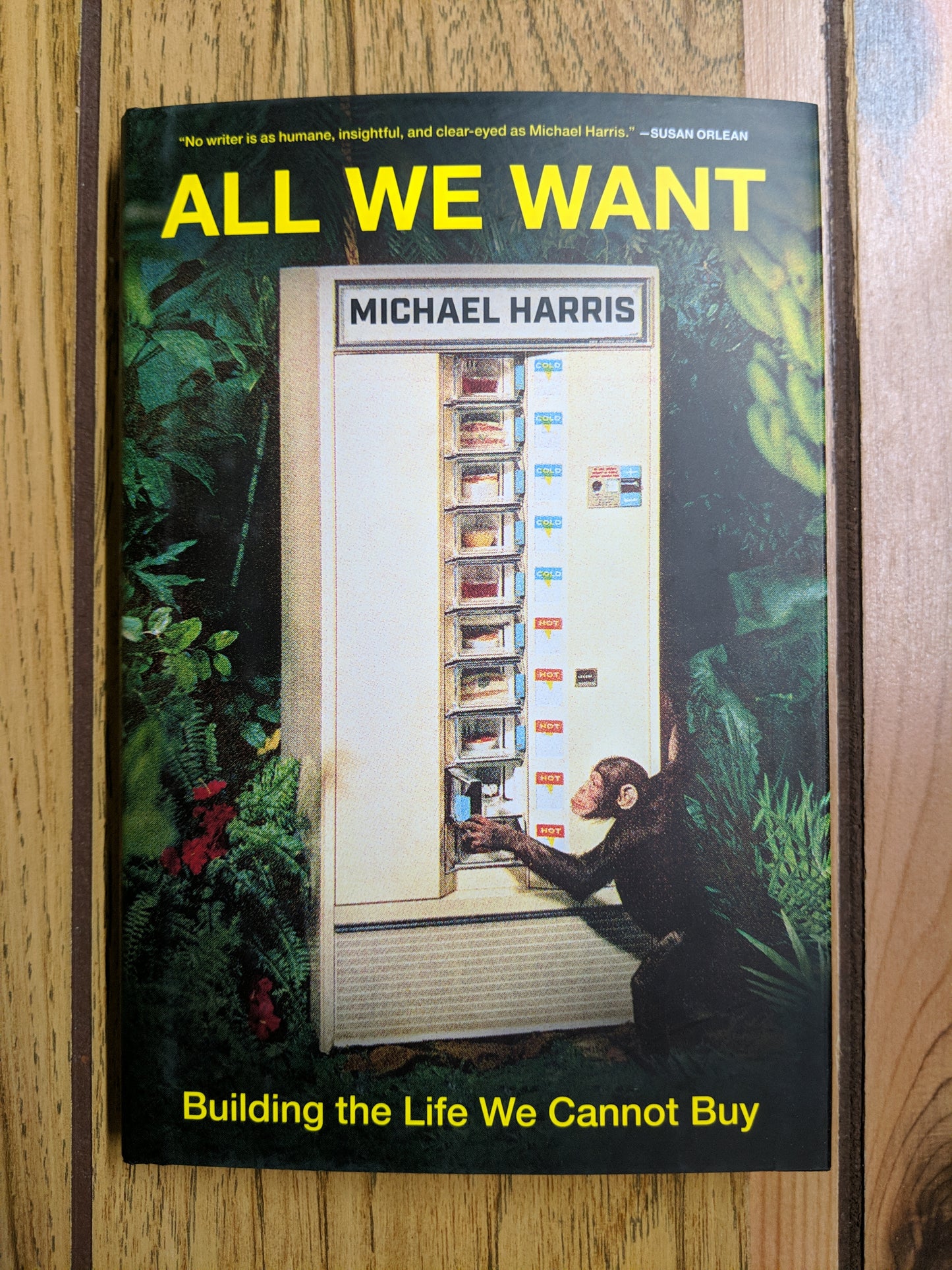 All We Want: Building the Life We Cannot Buy