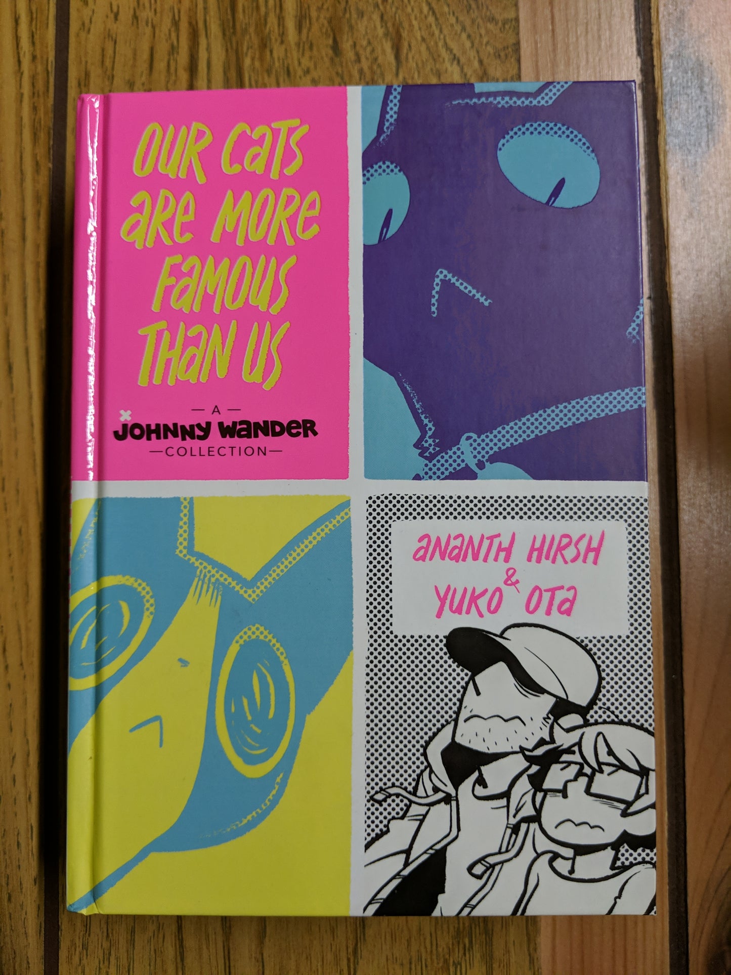 Our Cats Are More Famous Than Us: A Johnny Wander Collection