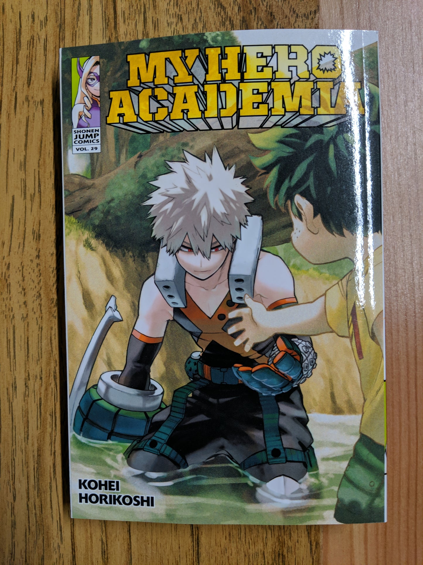 My Hero Academia, Vol. 29