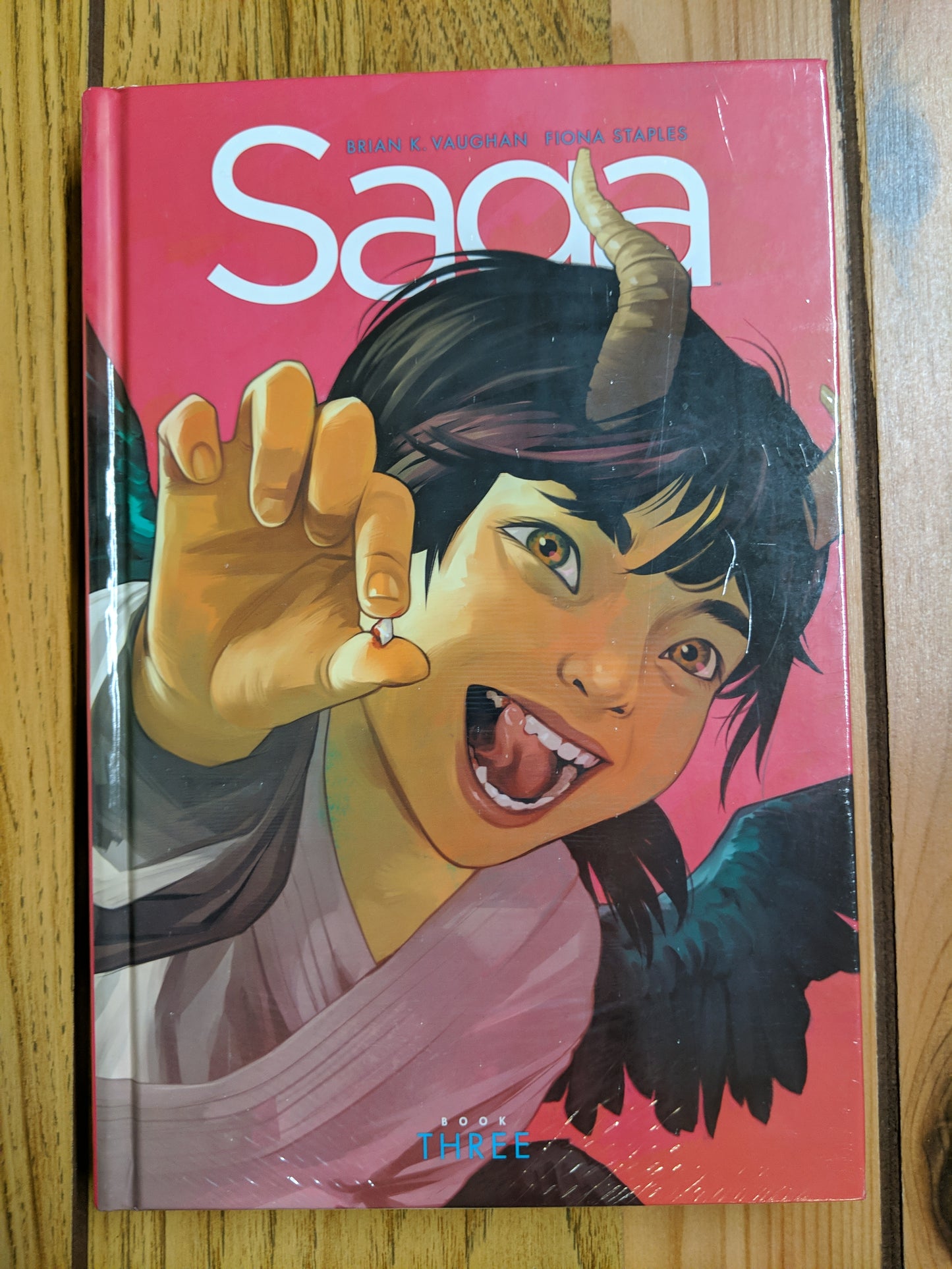 Saga Book 3