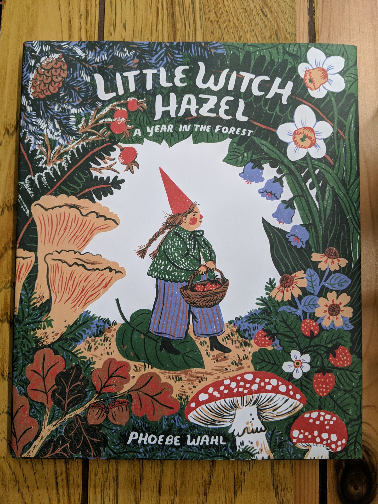 Little Witch Hazel