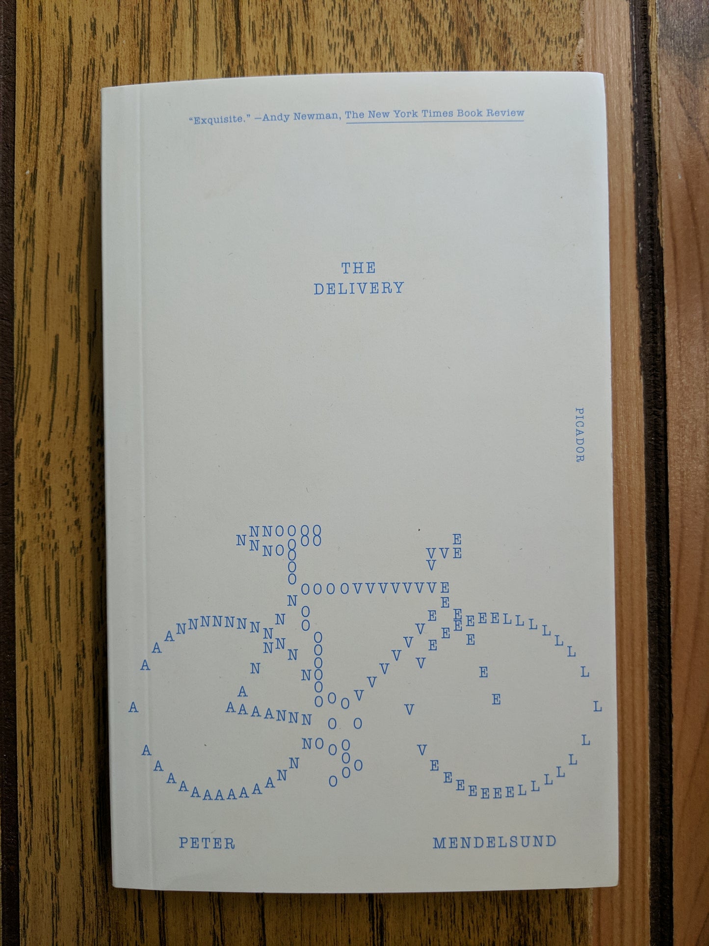 The Delivery: A Novel