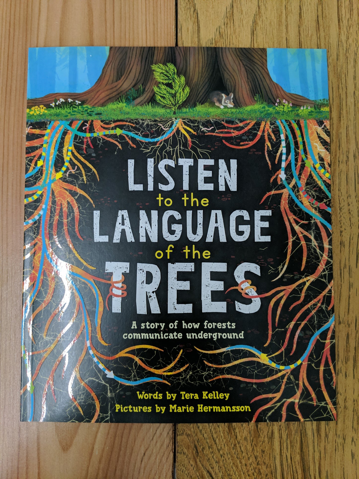Listen to the Language of the Trees