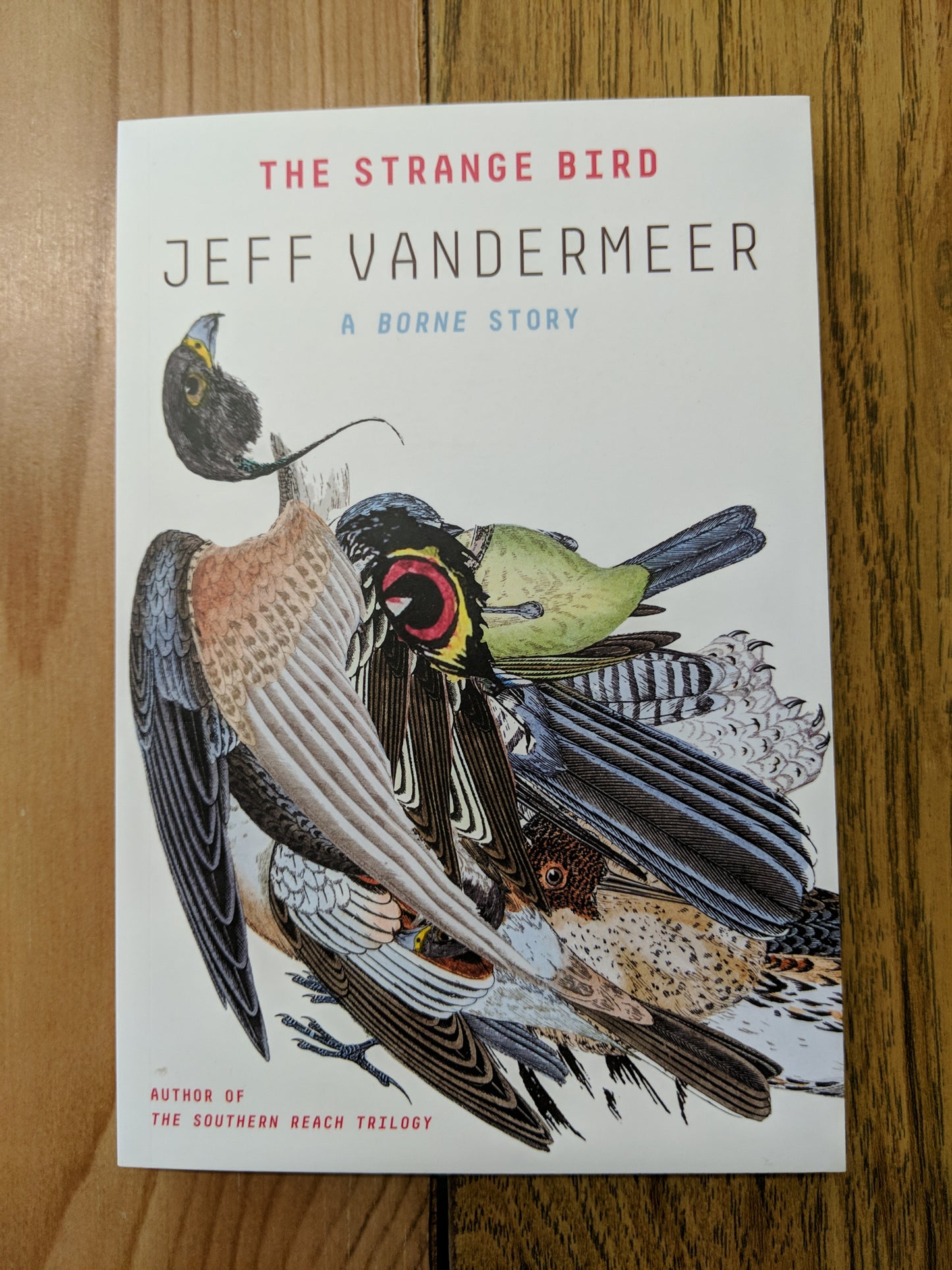 The Strange Bird: A Borne Story