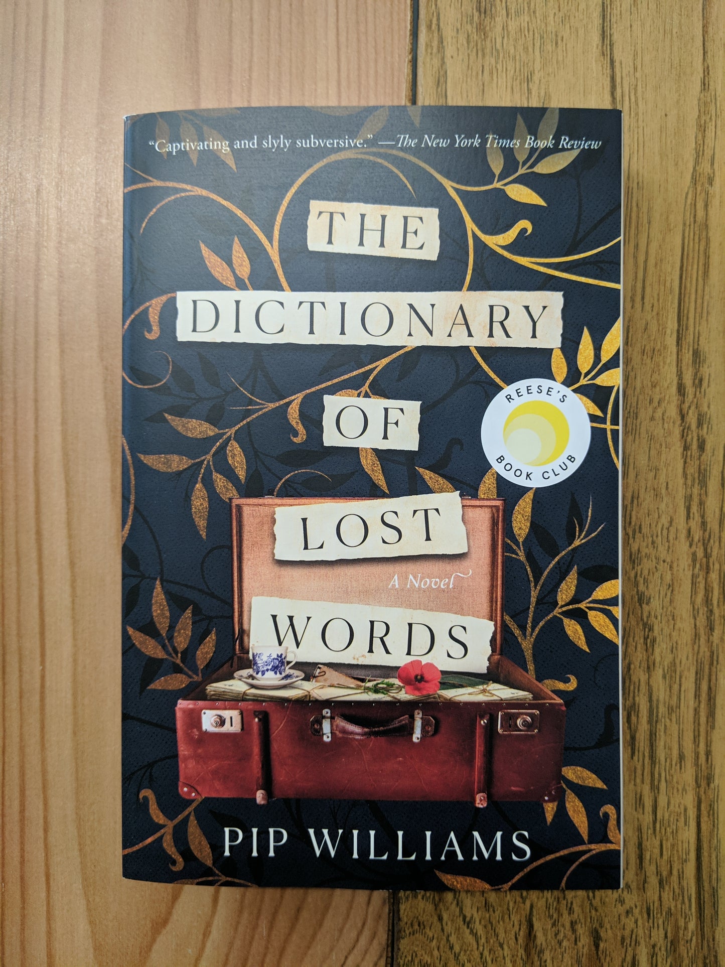 The Dictionary of Lost Words