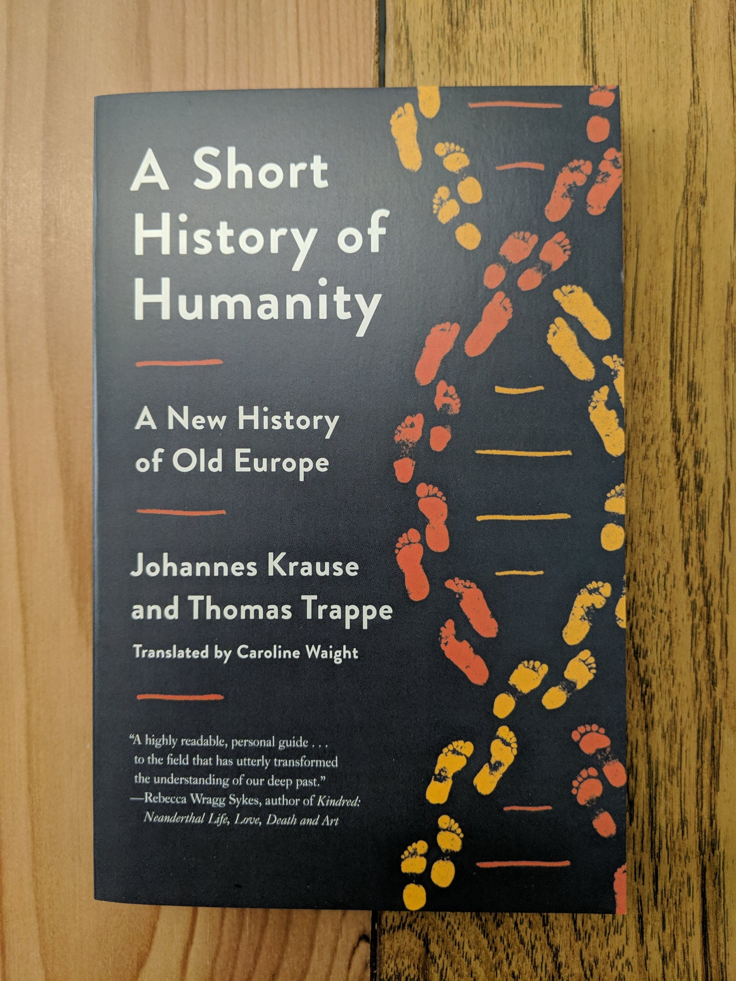 A Short History of Humanity: A New History of Old Europe