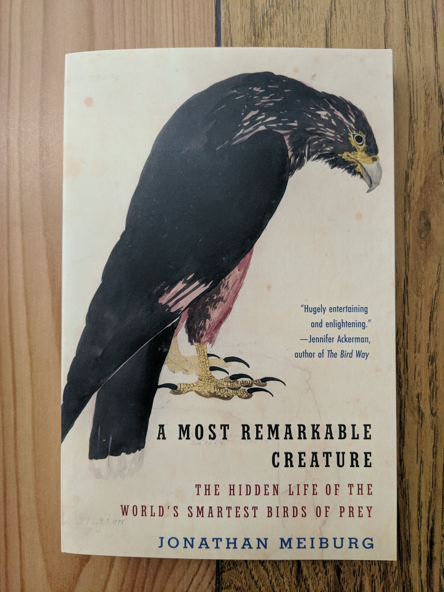 A Most Remarkable Creature