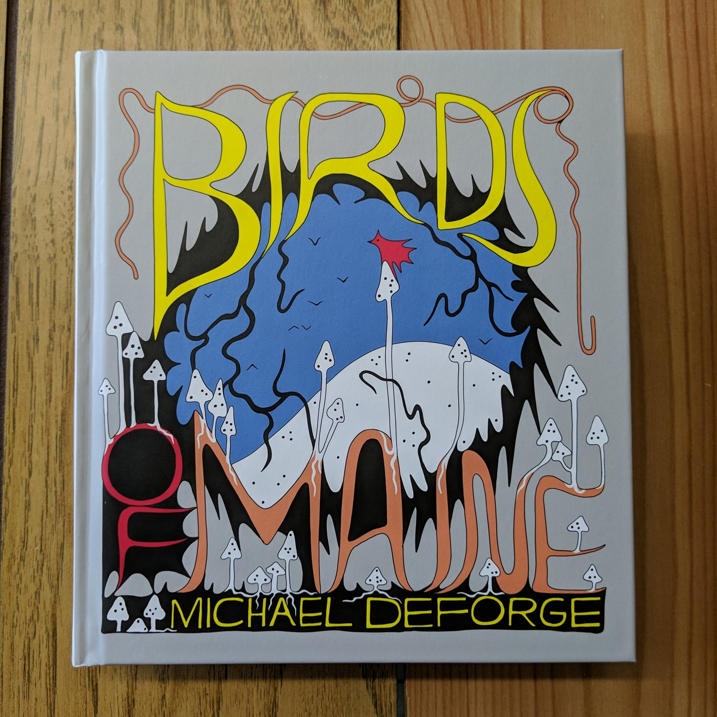 Birds of Maine