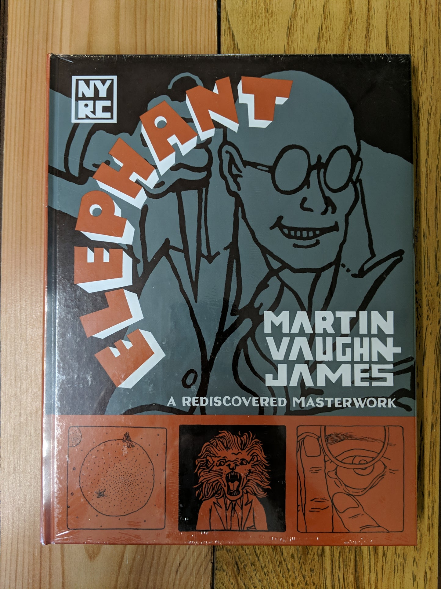 The Projector and The Elephant