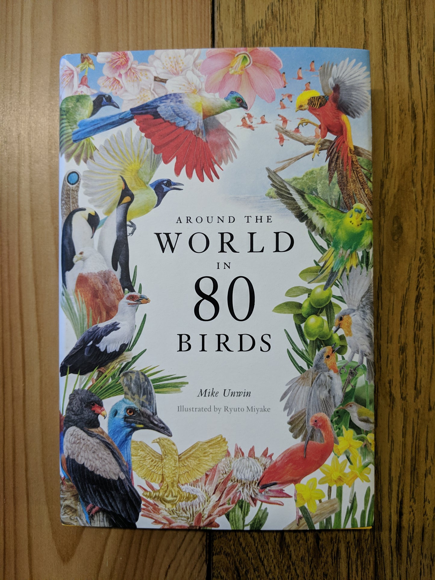 Around the World in 80 Birds