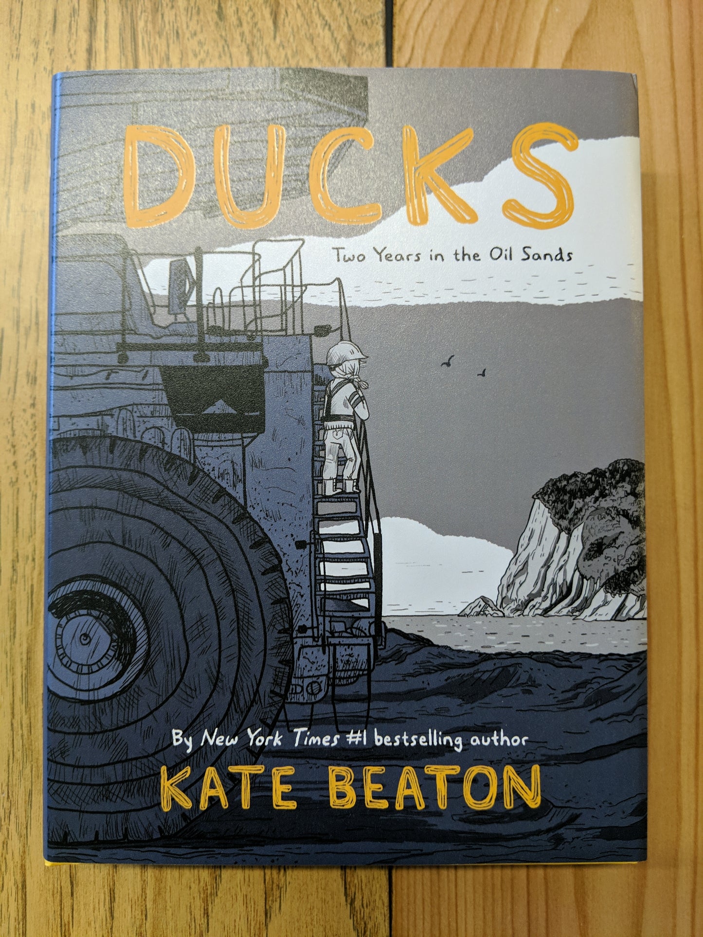 Ducks: Two Years in the Oil Sands