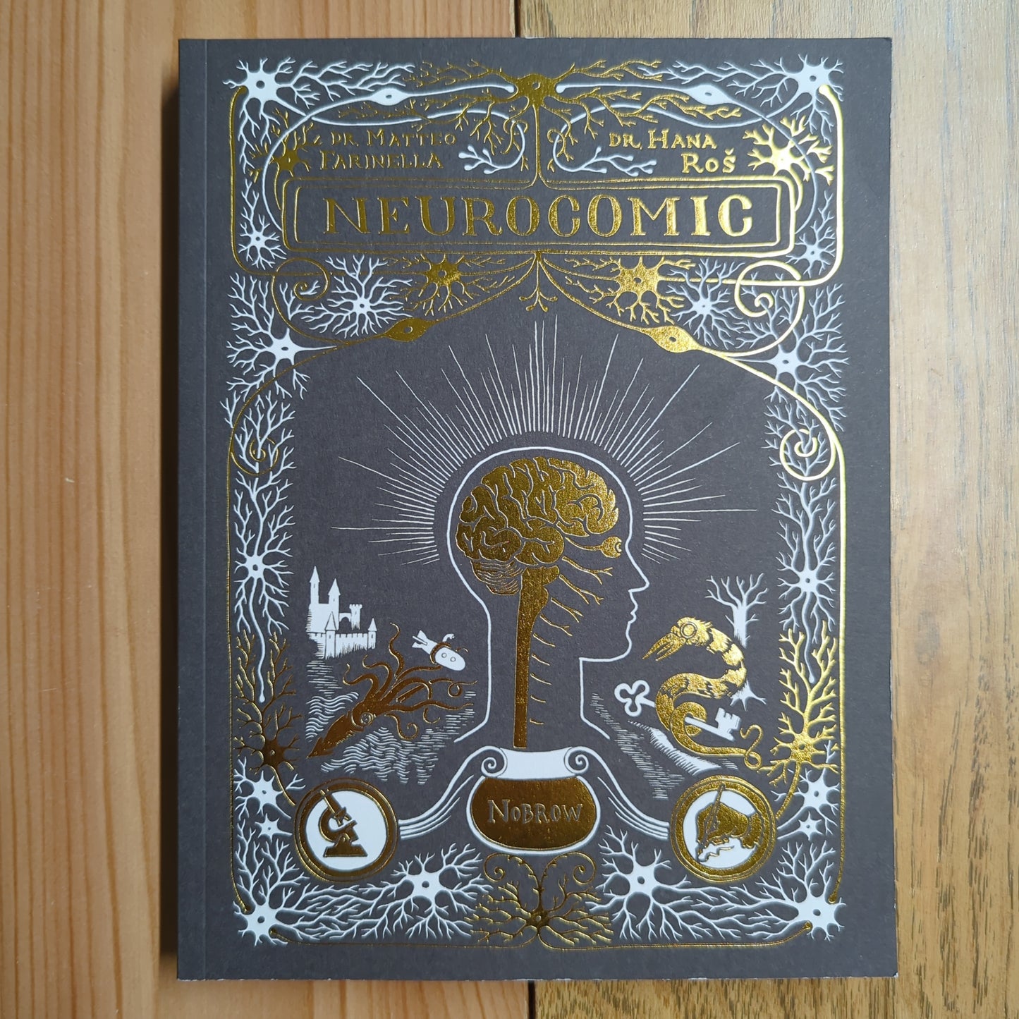 Neurocomic