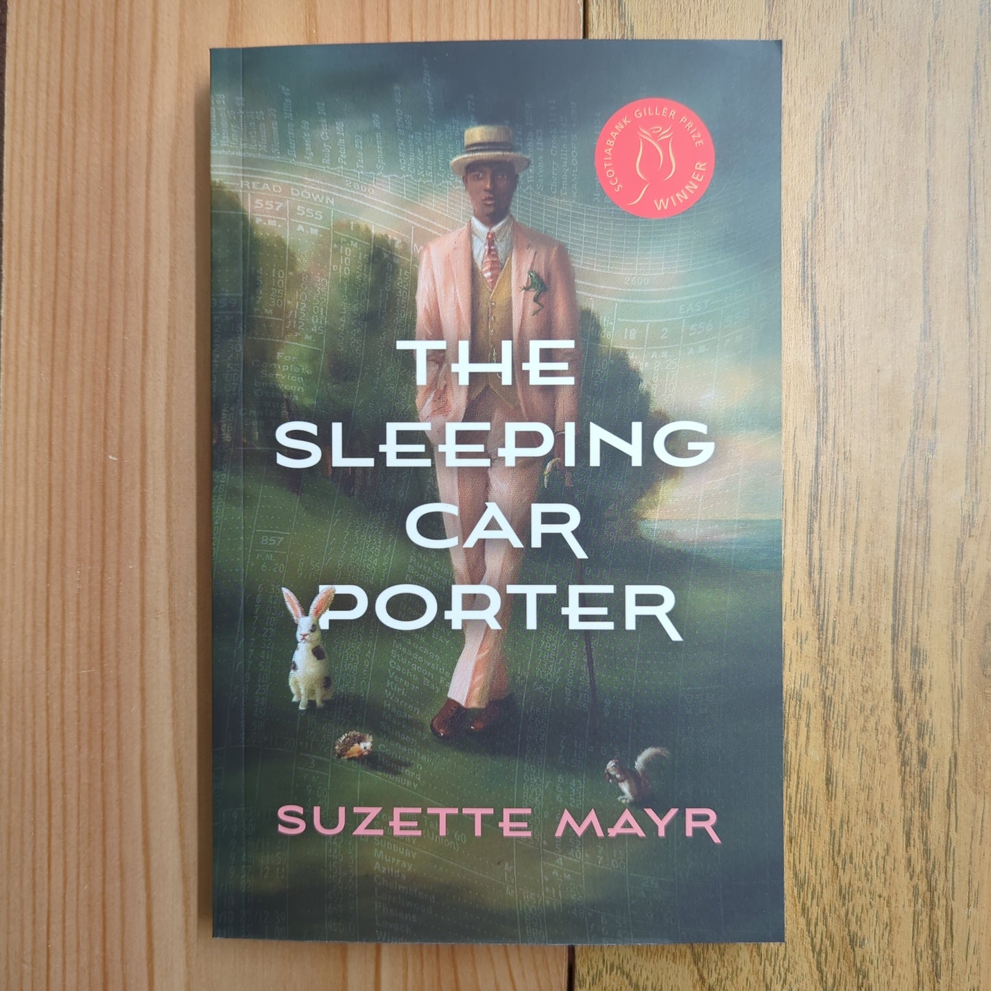 The Sleeping Car Porter