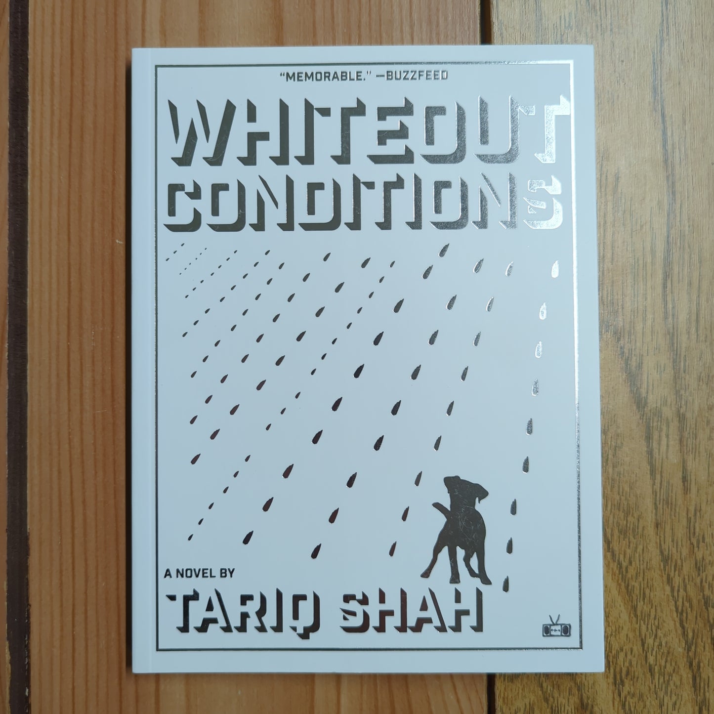 Whiteout Conditions