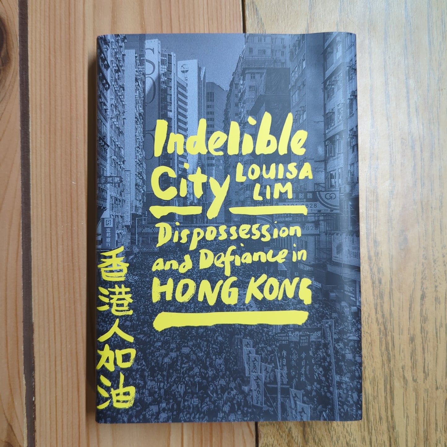 Indelible City: Dispossession and Defiance in Hong Kong