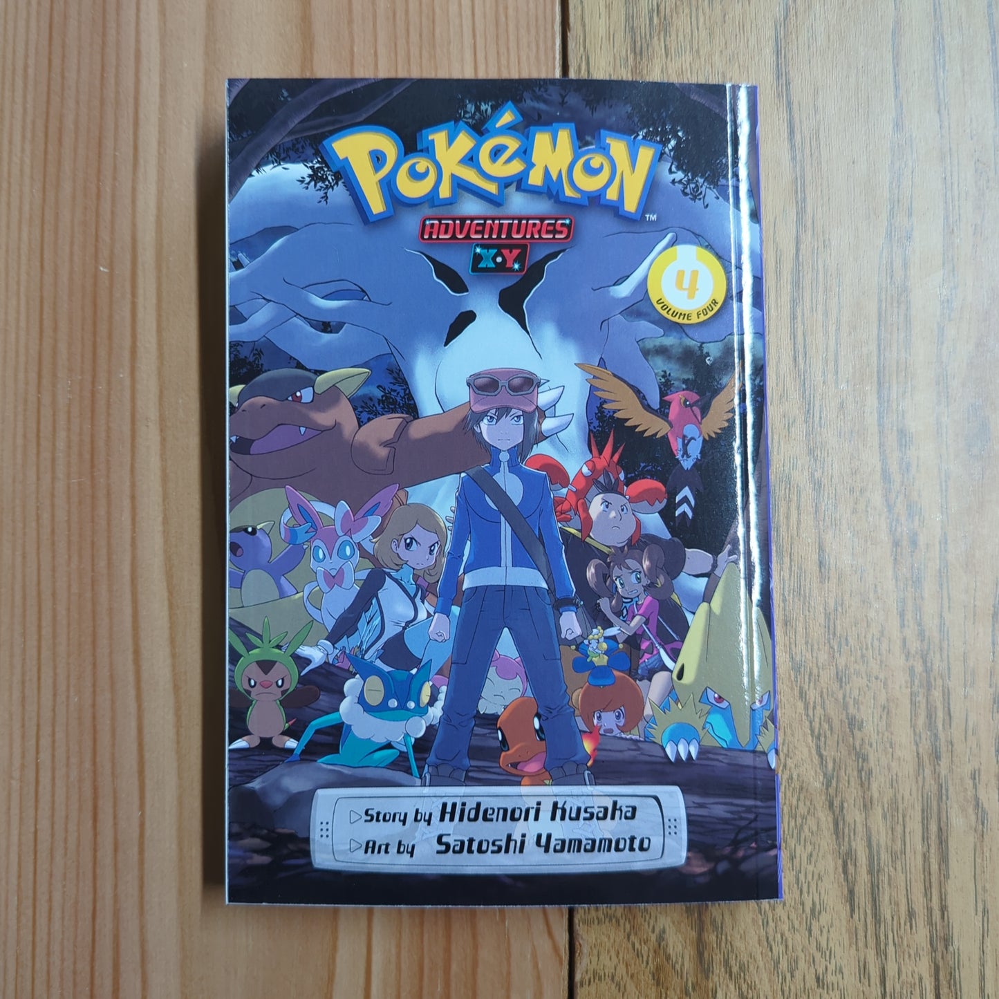 Pokemon Adventures X&Y Vol 4