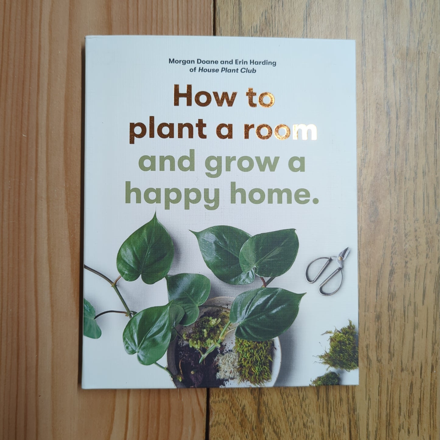 How to plant a room and grow a happy home