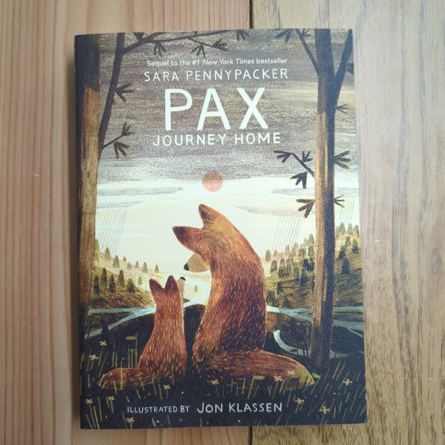 Pax, Journey Home