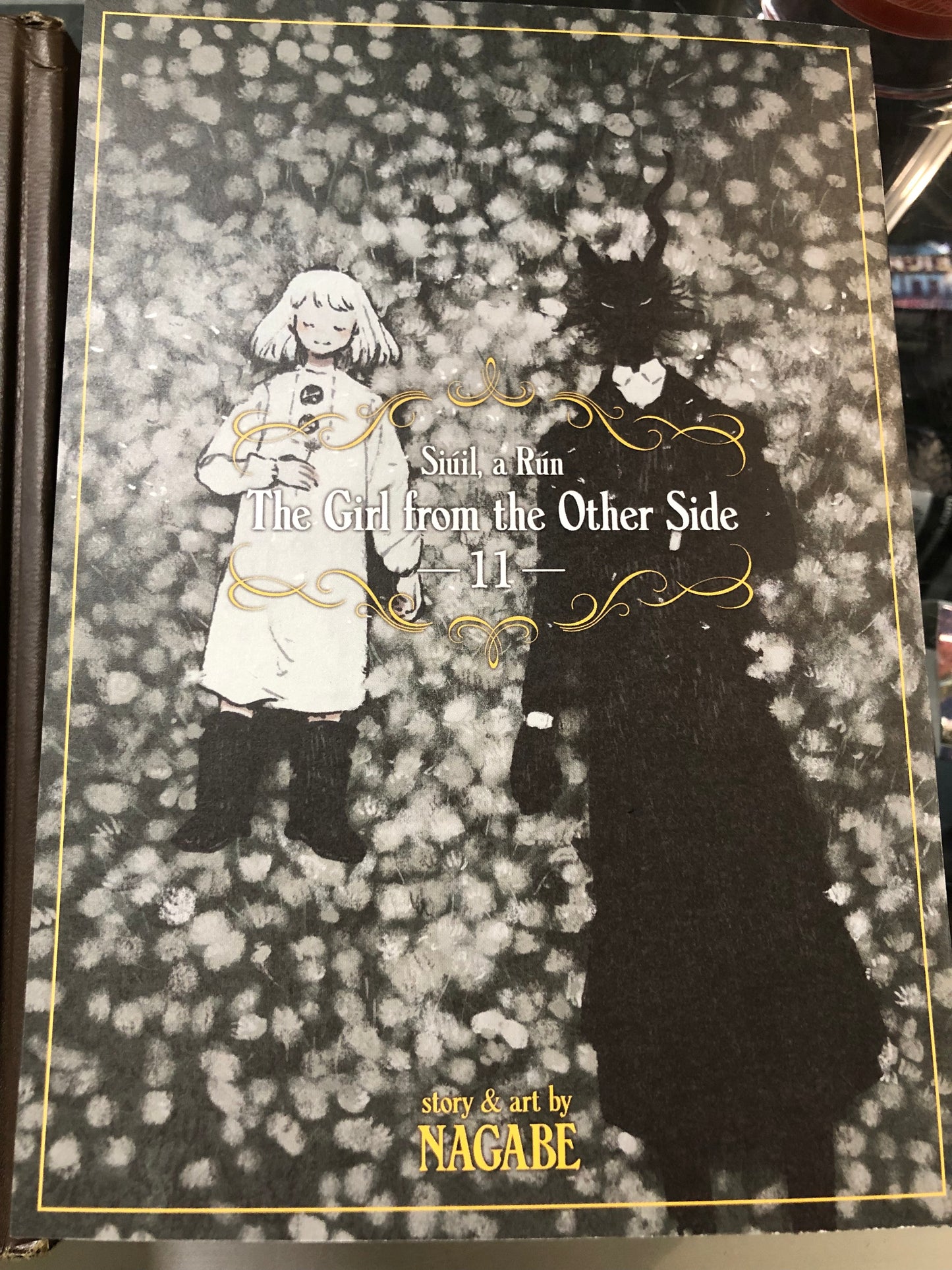 The Girl From the Other Side Volume 11