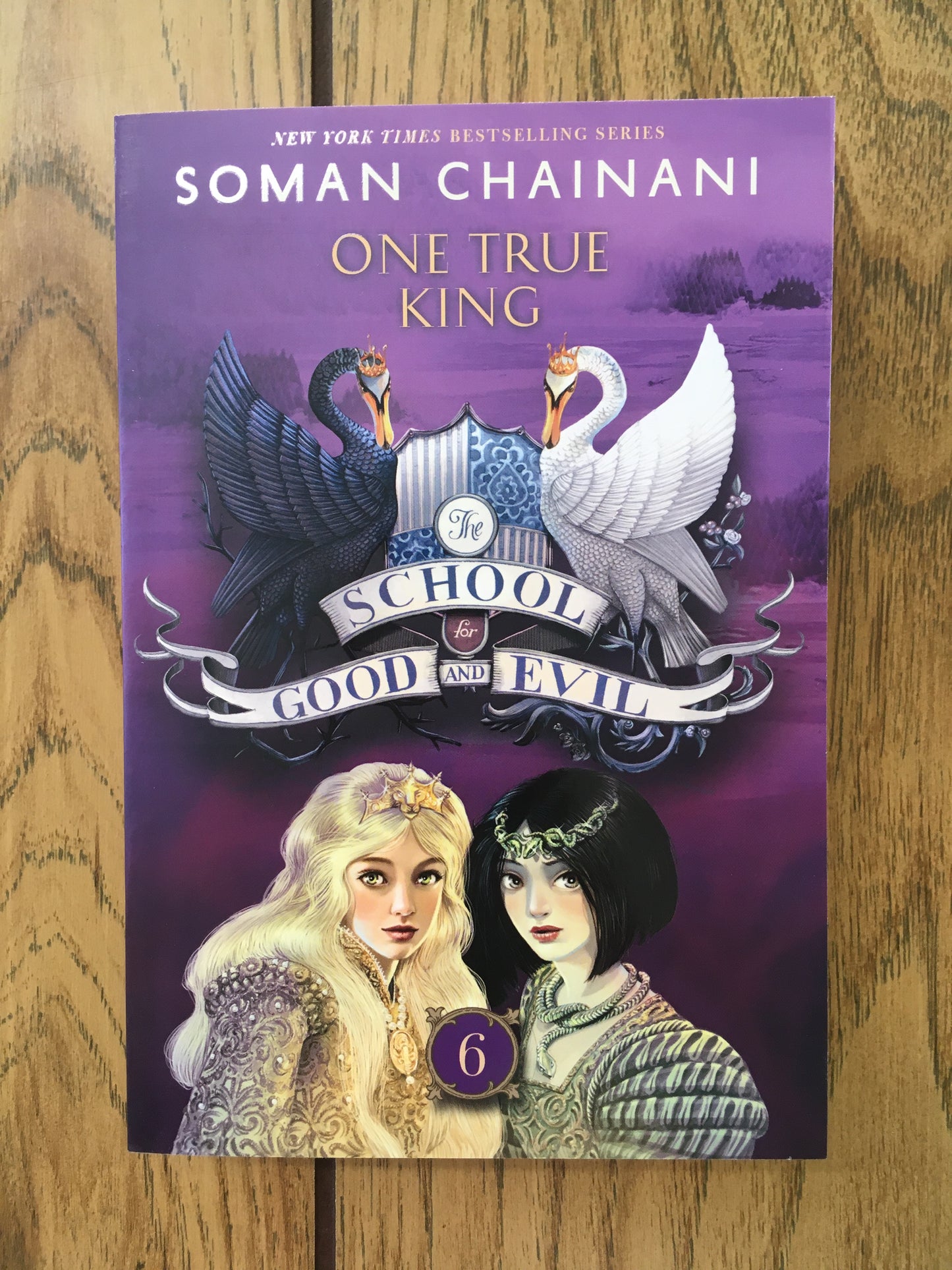 The School for Good and Evil #6: One True King