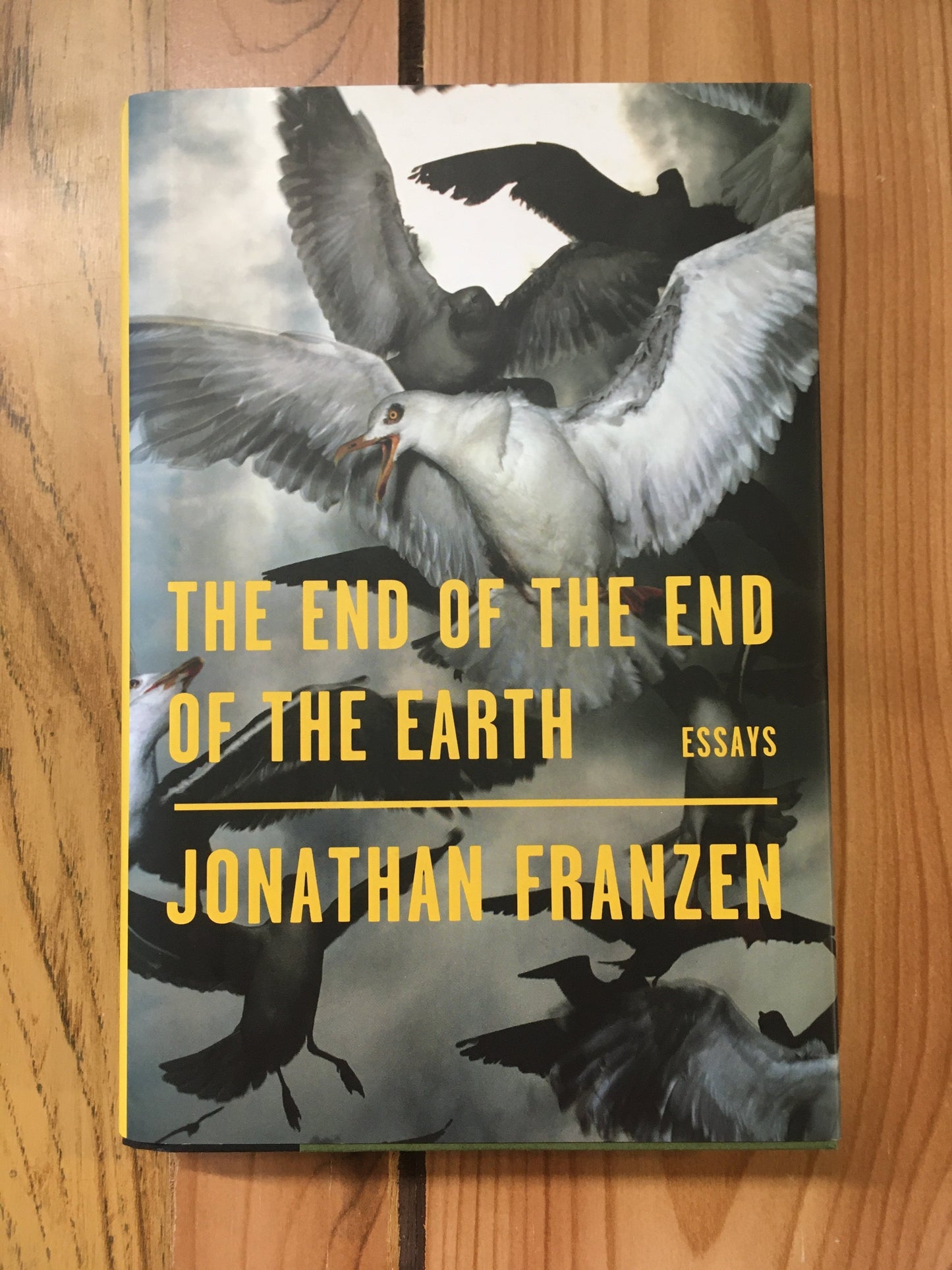 The End of the End of the Earth - Hardcover