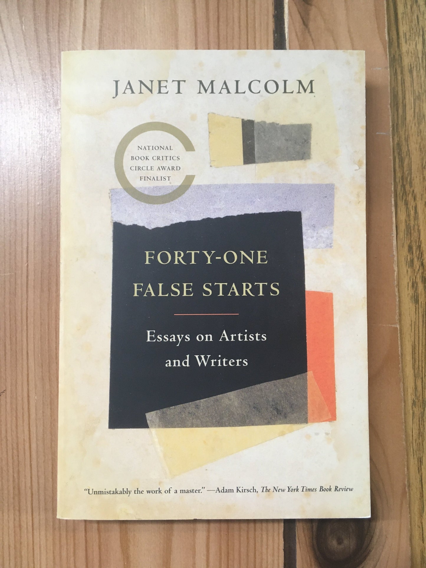 Forty-One False Starts: Essays on Artists and Writers