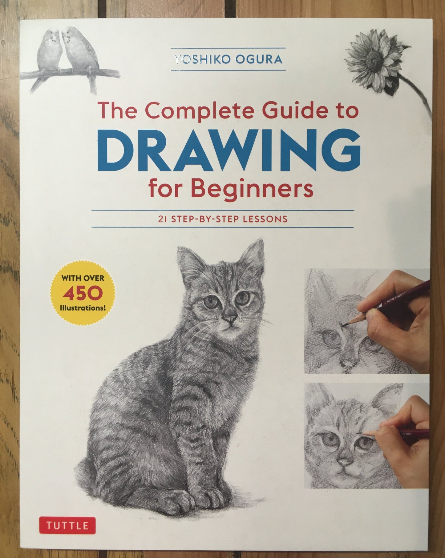 The Complete Guide to Drawing for Beginners: 21 Step-by-Step Lessons