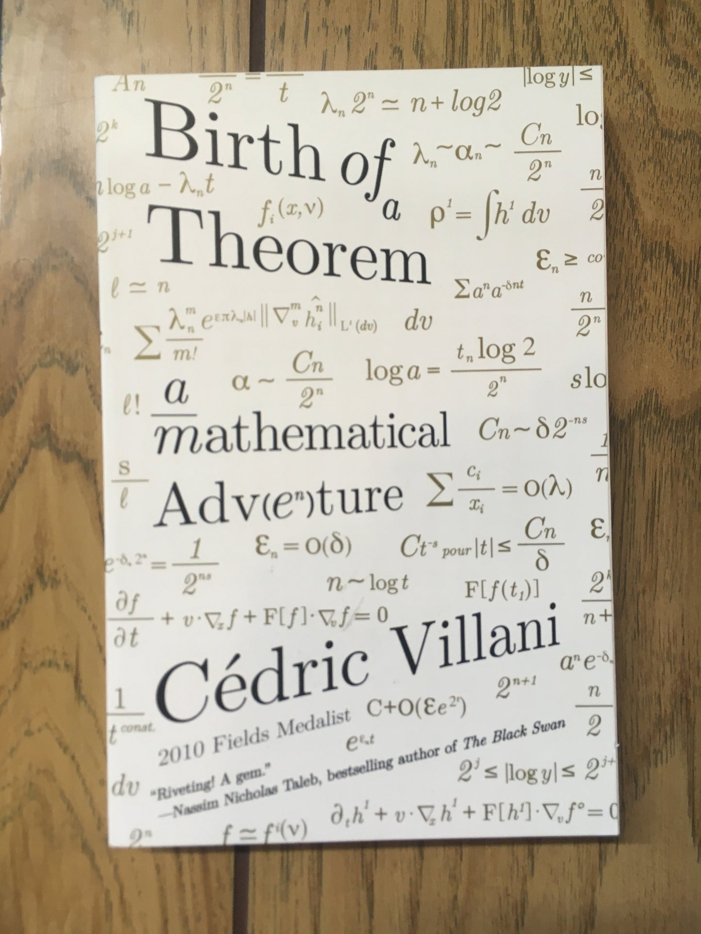 Birth of a Theorem: A Mathematical Adventure