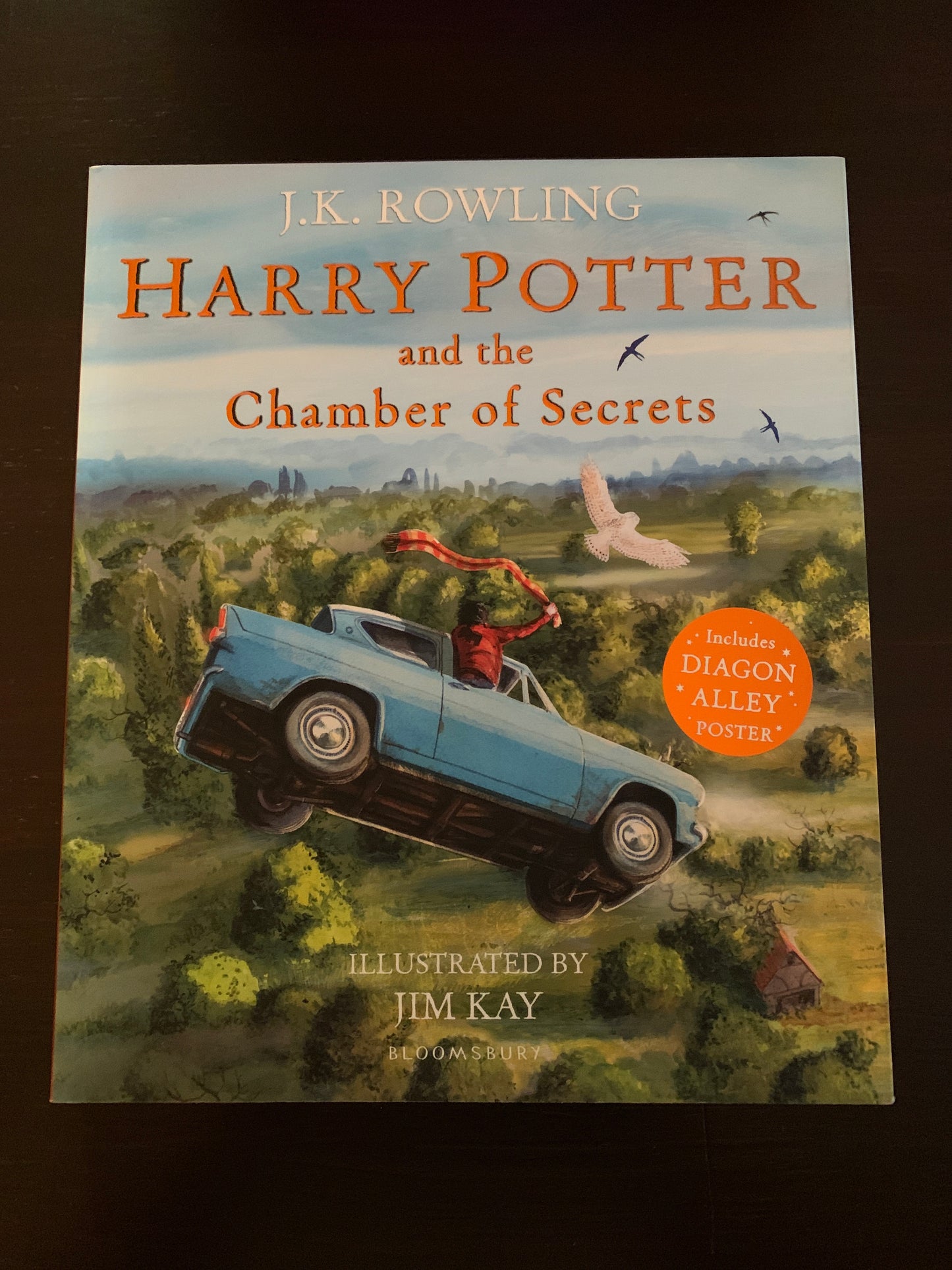 Harry Potter and the Chamber of Secrets: Illustrated Edition