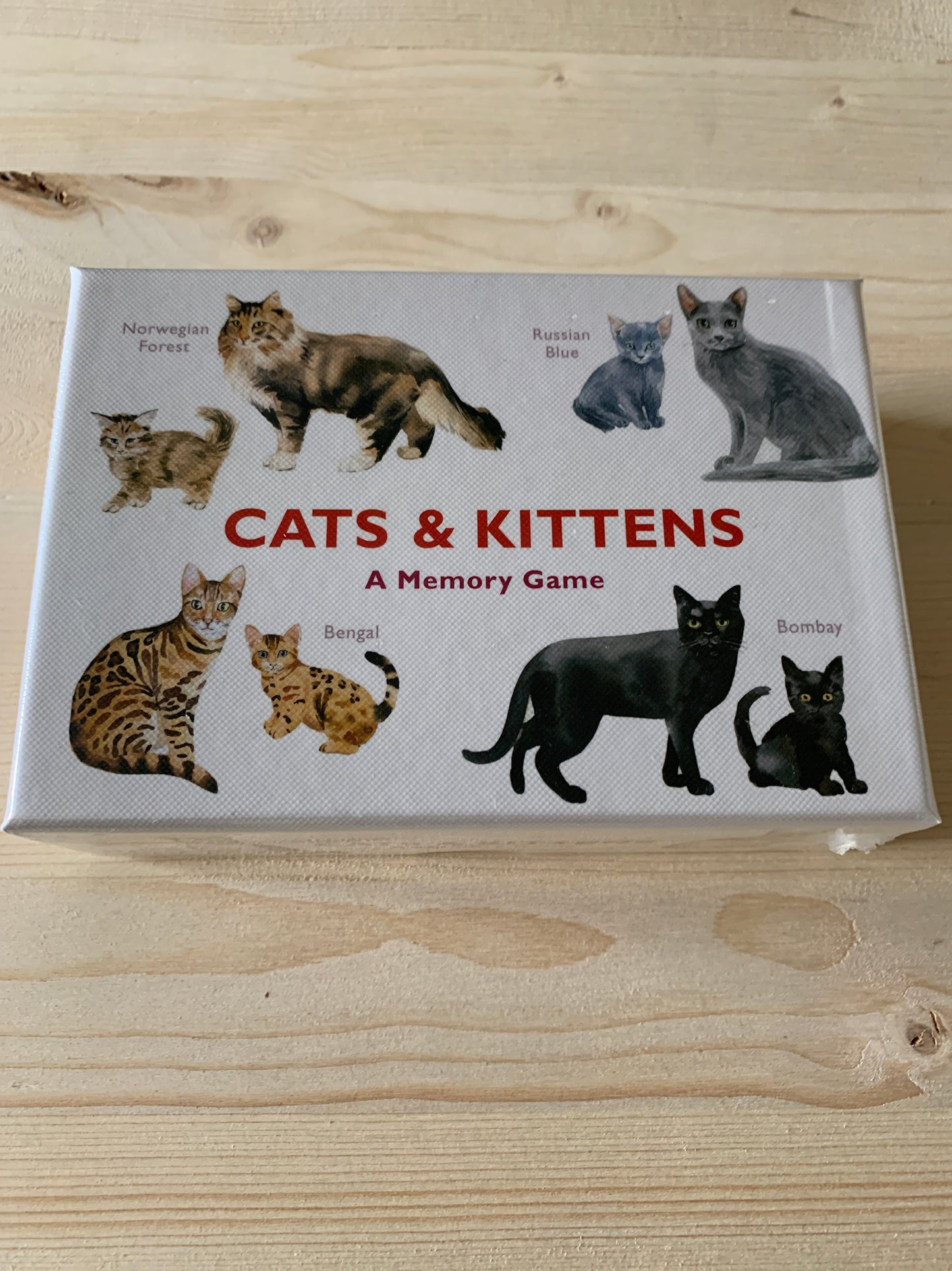 Cats & Kittens: A Memory Game