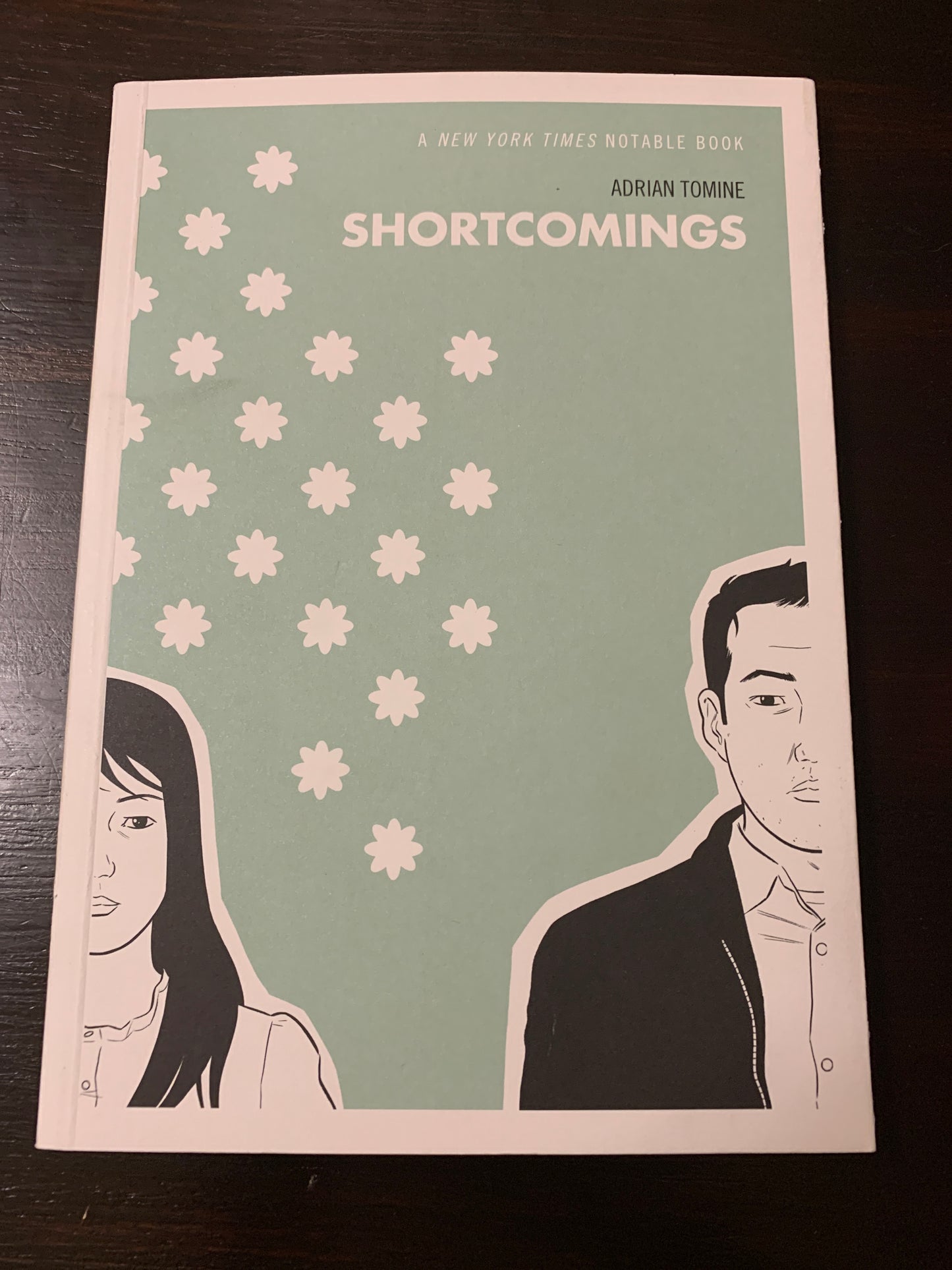 Shortcomings
