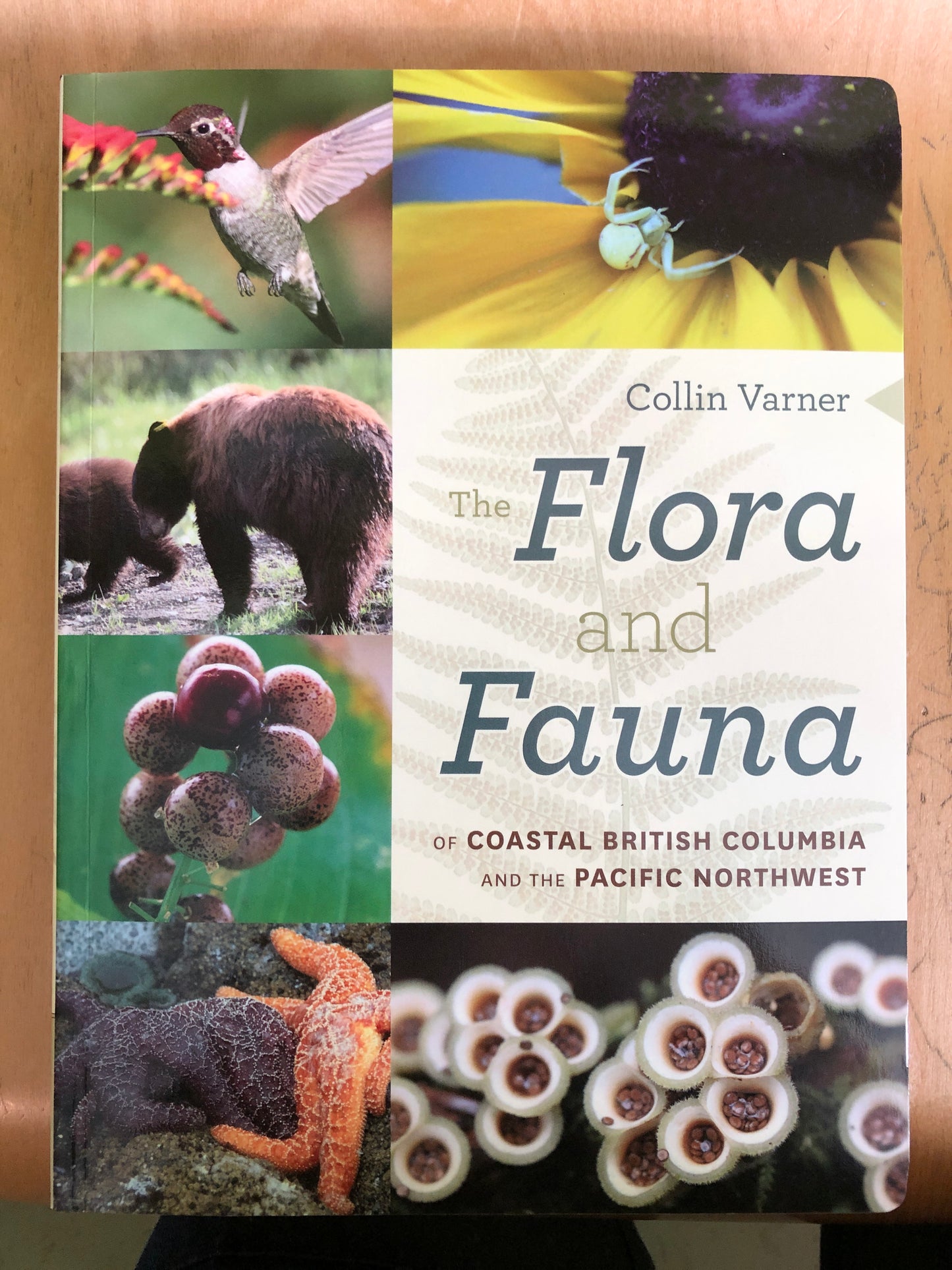 The Flora and Fauna