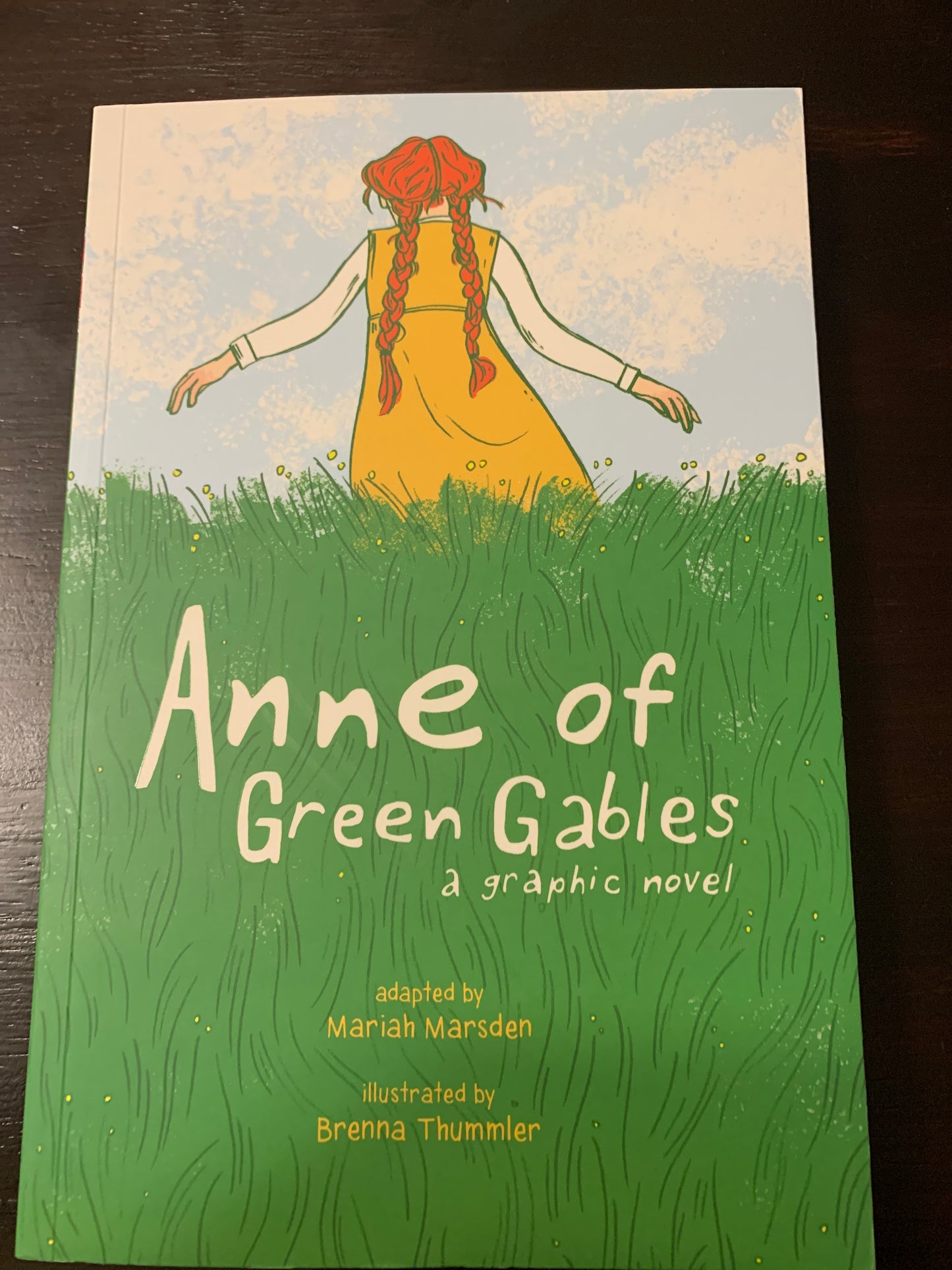Anne of Green Gables: a graphic novel