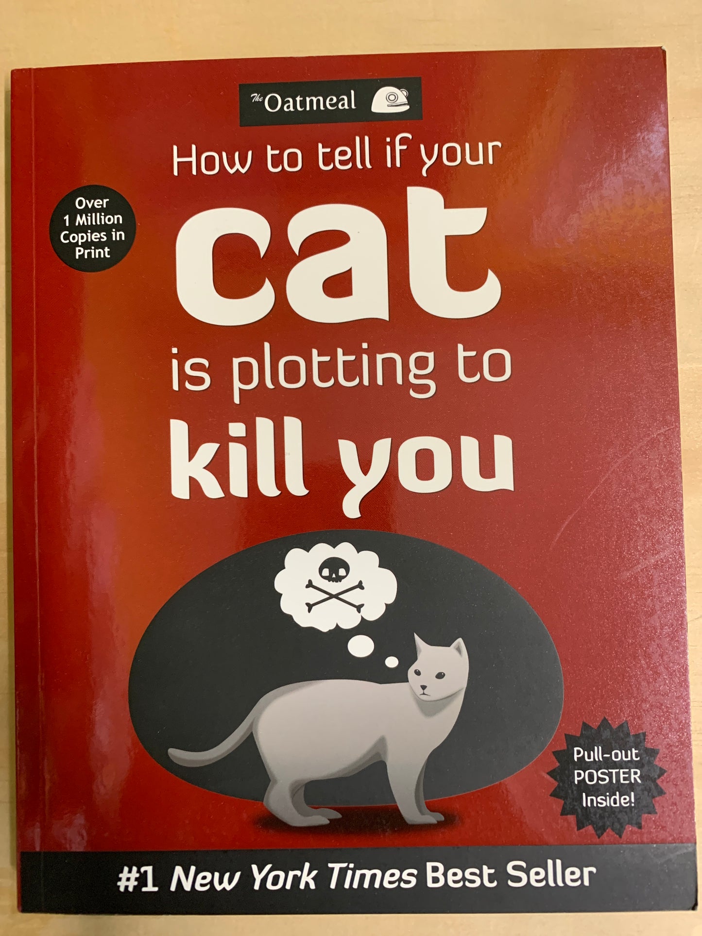 How To Tell If Your Cat Is Plotting To Kill You