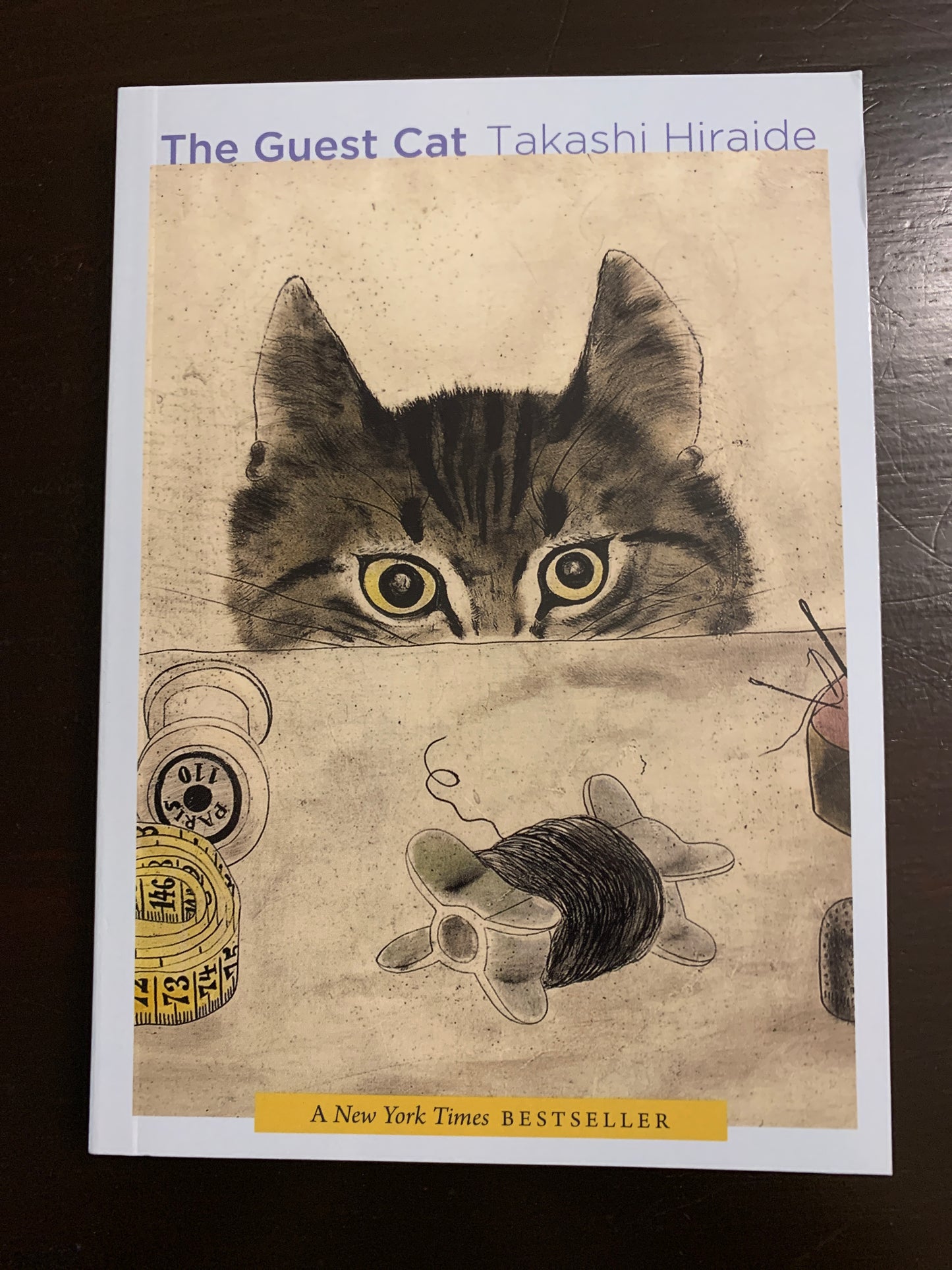 The Guest Cat