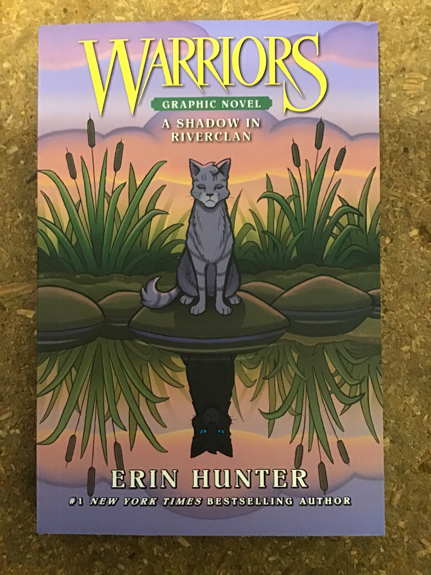 Warriors: A Shadow in River Clan