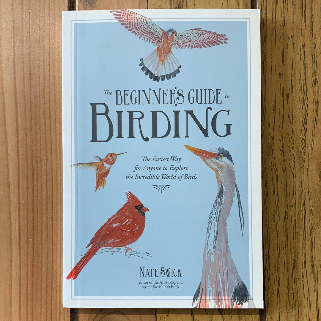 The Beginner’s Guide To Birding