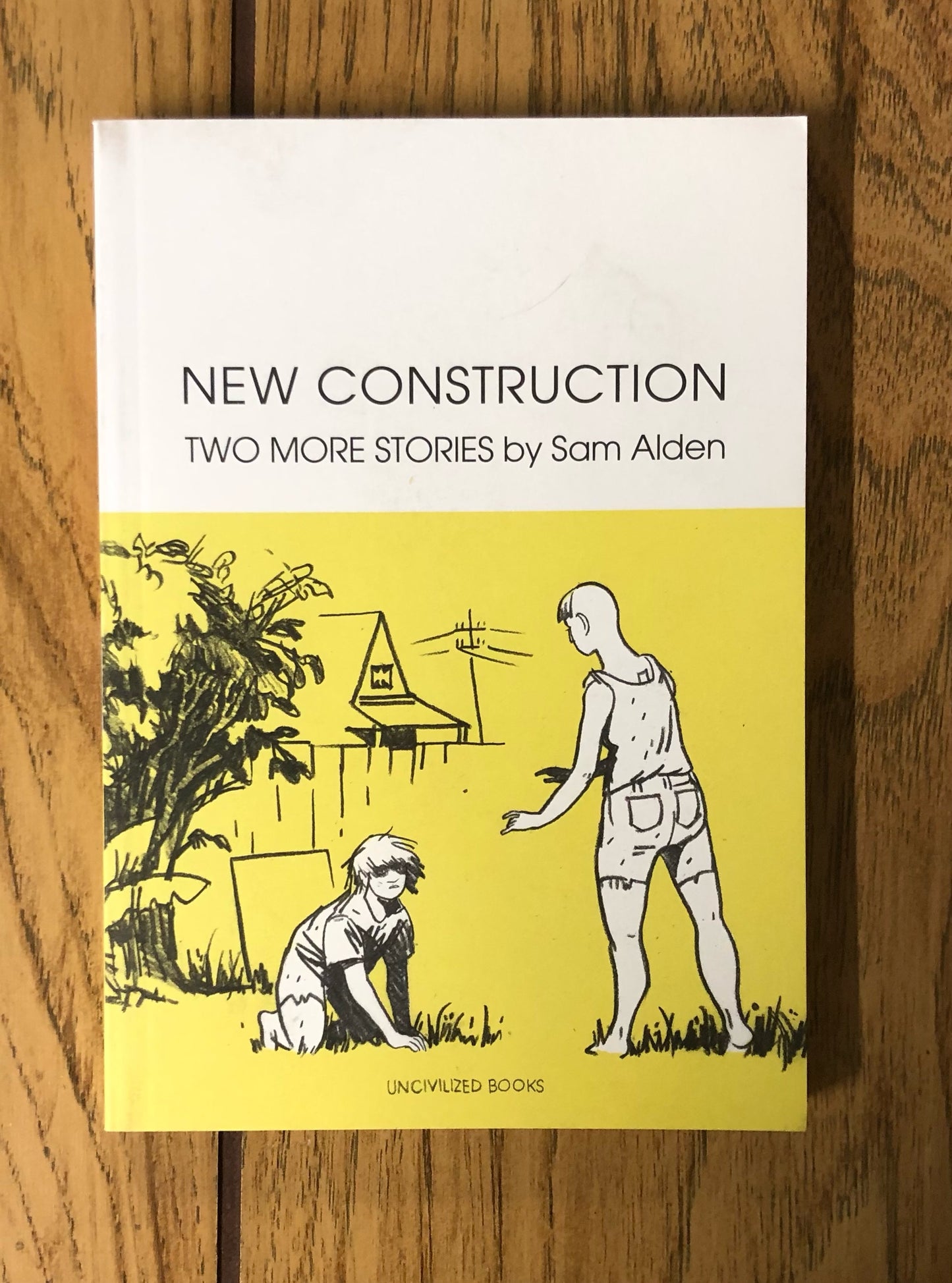 New Construction: Two More Stories