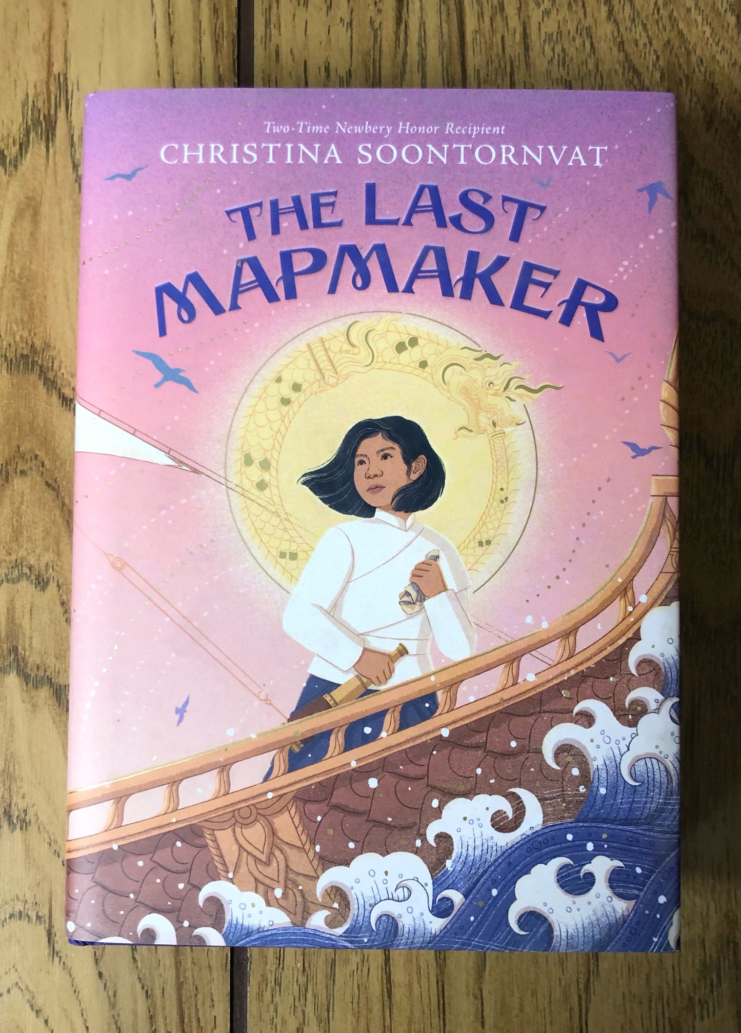 The Last Mapmaker