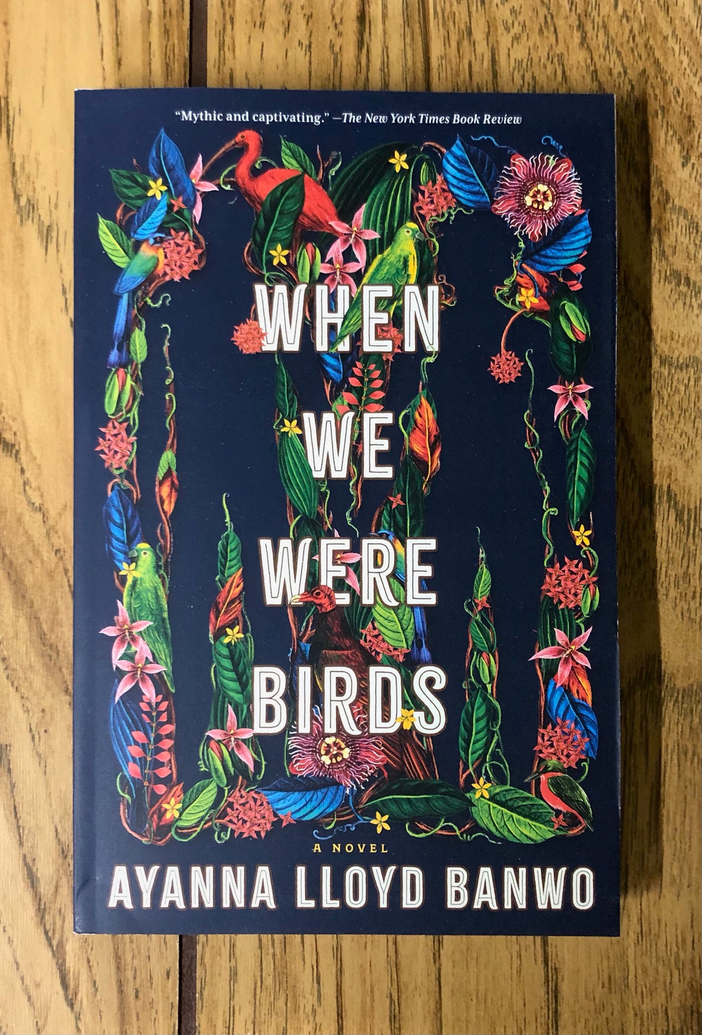 When We Were Birds