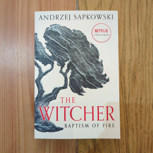 Baptism of Fire (Witcher #3)