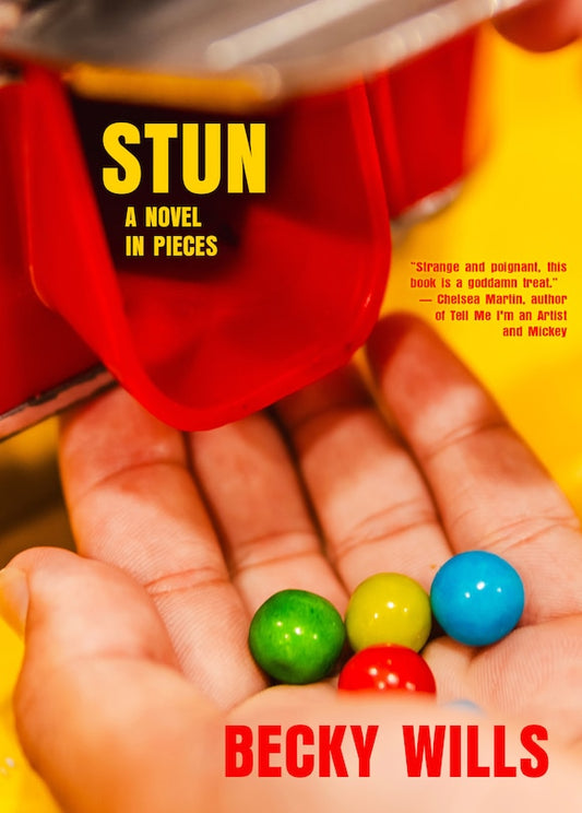 Stun: A Novel in Pieces