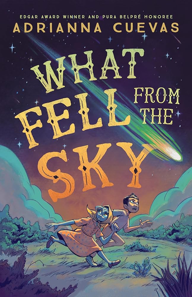 What Fell from the Sky cover image