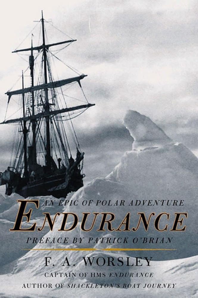 Endurance: An Epic of Polar Adventure cover image