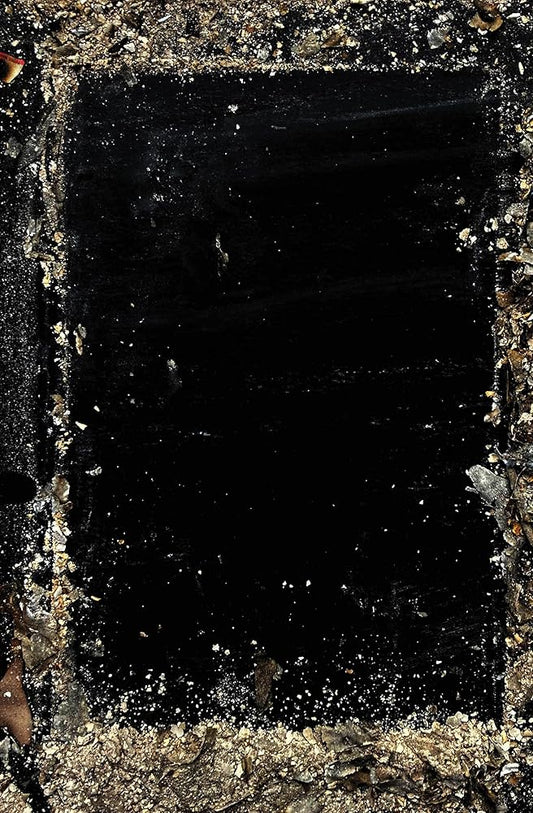 Baron Wenckheim's Homecoming cover image