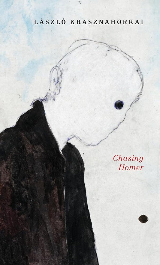 Chasing Homer cover image