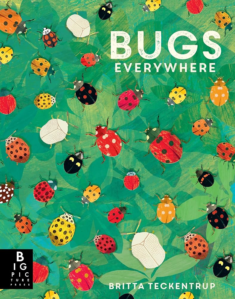 Bugs Everywhere (Animals Everywhere) cover image
