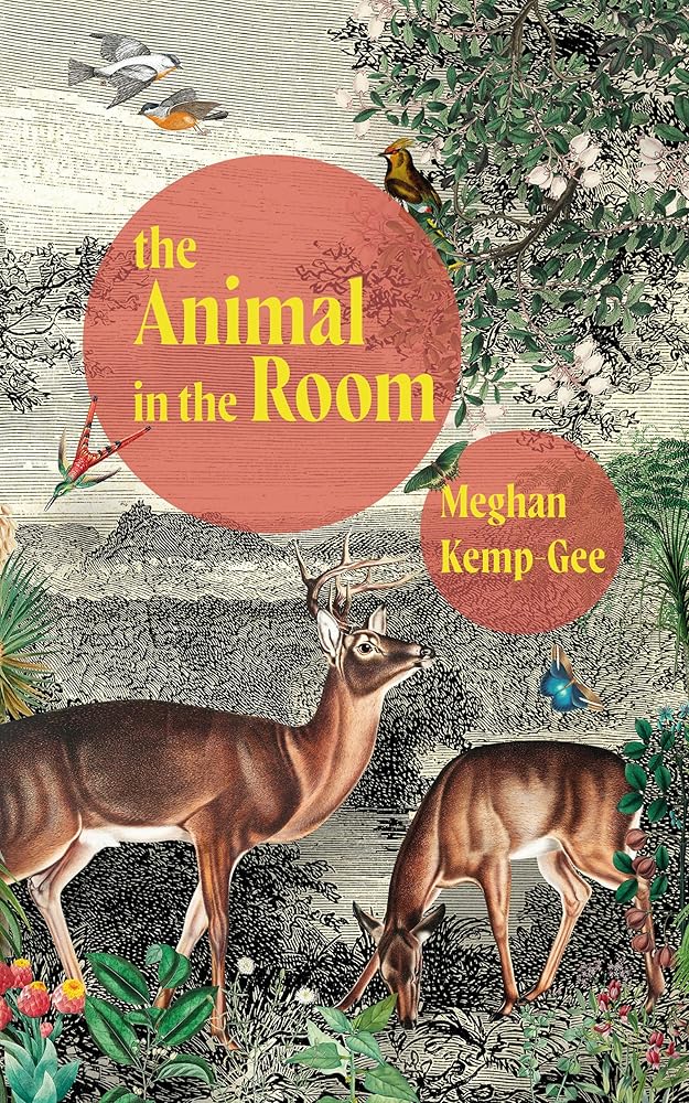 The Animal in the Room cover image