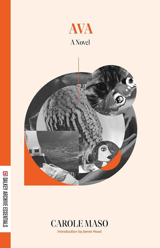 AVA (Dalkey Essentials) cover image