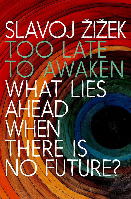 Too Late to Awaken: What Lies Ahead When There Is No Future cover image
